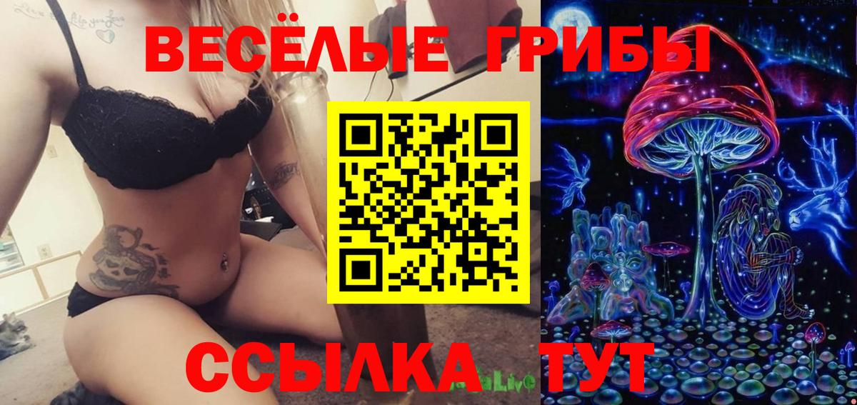 Псилоцибиновые грибы мицелий Кировск